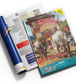 Feltrino News n. 9/2026