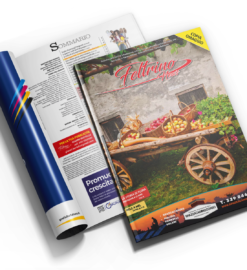 Feltrino News n. 10/2026